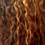 Curly locks – top 5 hair products REVISITED